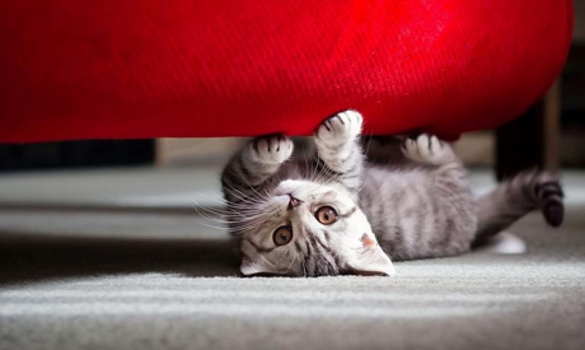 Get a Copy of {Kids’ Guide to Helping Animals Magazine} For FREE!