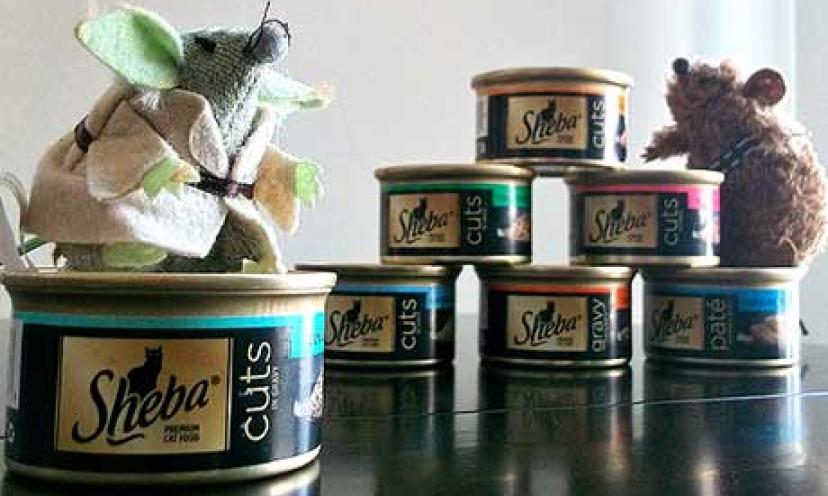 Treat Your Cat with SHEBA Premium Food!