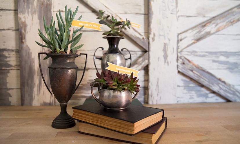 10 Amazing lnterior Design Projects under $25