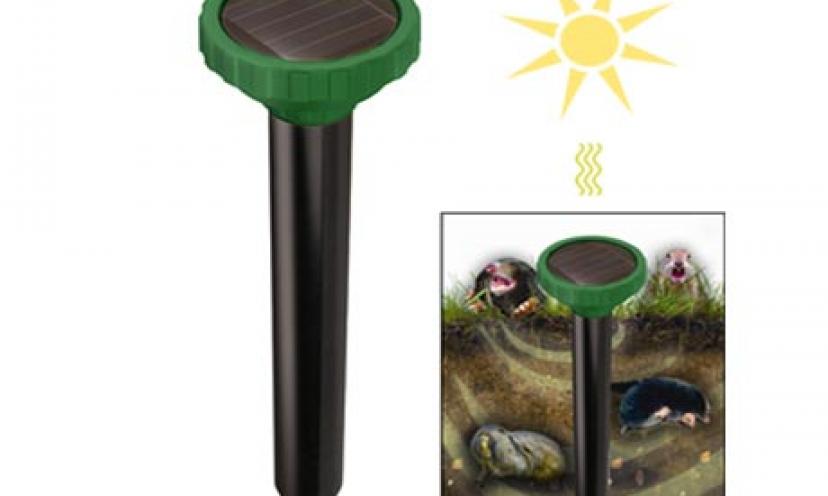 Mole and Gopher Chaser