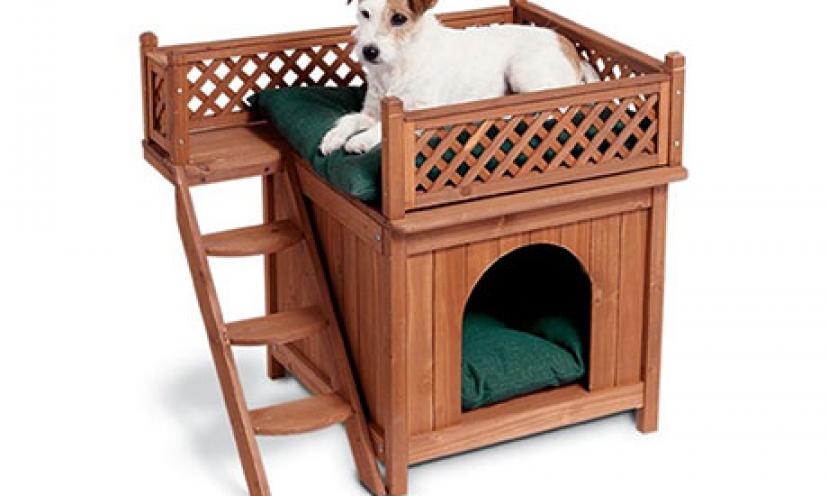 Save 50% Off The Merry Pet Wood Room with a View Pet House! – Get It Free