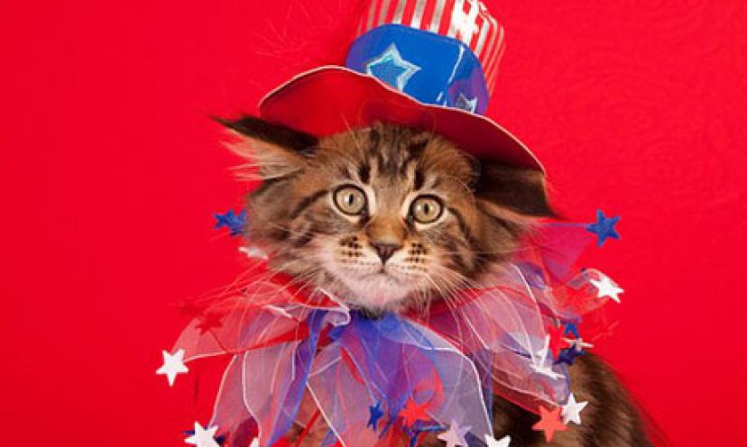 11 Cats That Are More Patriotic Than You Are! God Bless #MEOWICA!