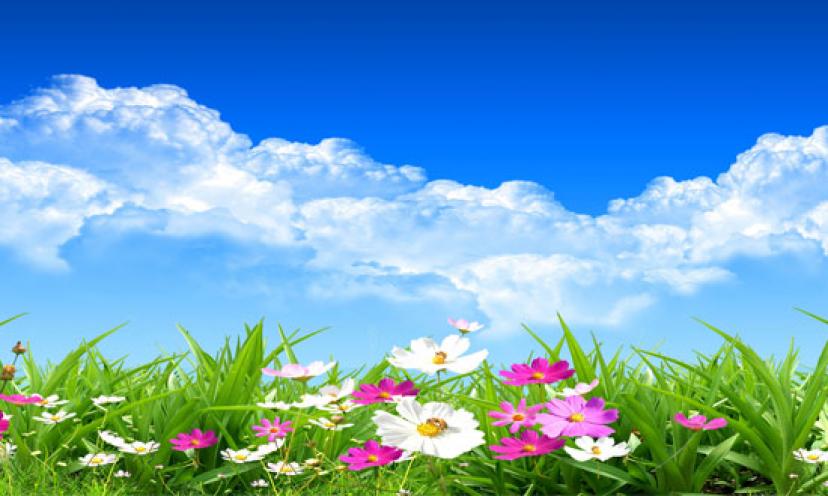 Getting Fit Puts a SPRING In Your Step!