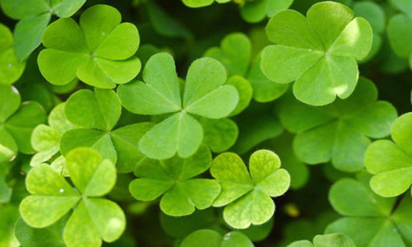 Happy St. Patrick’s Day!