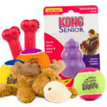 Get a FREE Kong Dog Toy!