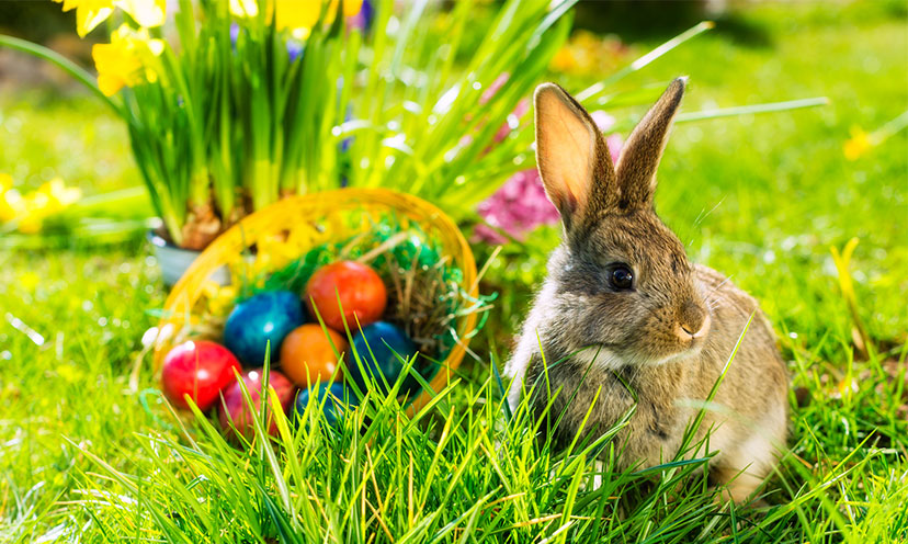 Easy DIY Easter Decorations for 2017