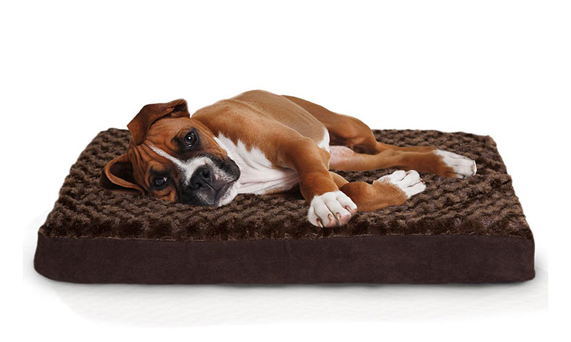 plush pet bed for dogs