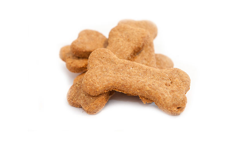 Get a FREE Sample of Dog Treats! Get it Free