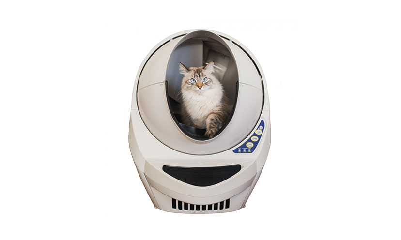 Enter to Win a Litter Robot Cat Litter Box! – Get It Free