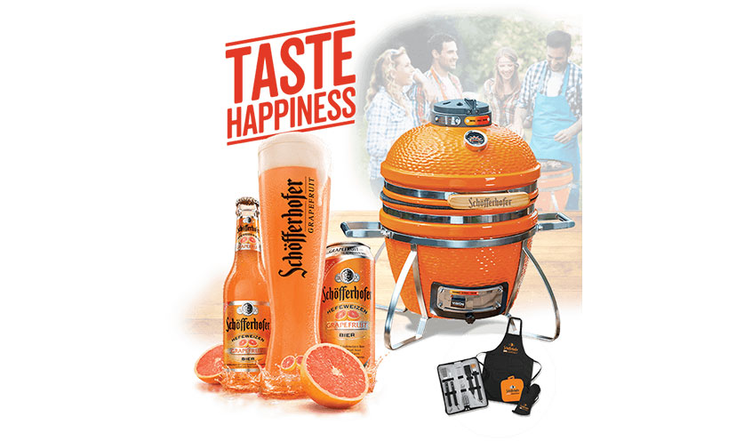 Enter to Win a Vision Grill!