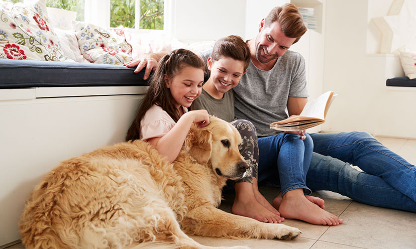6 Ways To Spoil Your Dog On National Dog Day