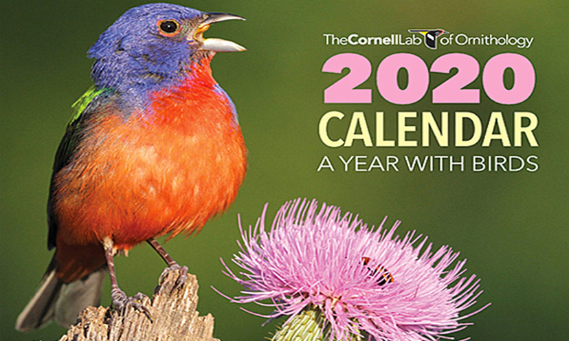 Get A FREE 2020 Bird Calendar Get It Free