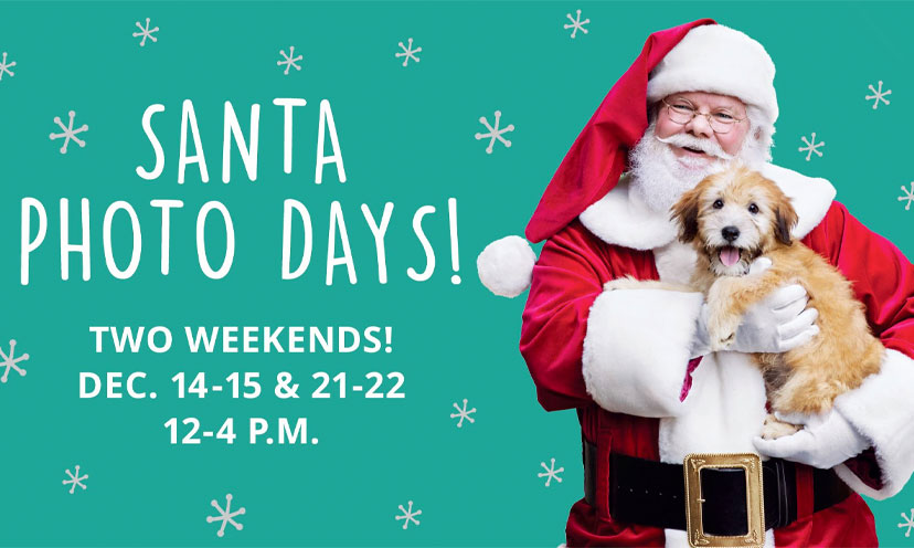 Get a FREE Photo With Santa at PetSmart! – Get it Free