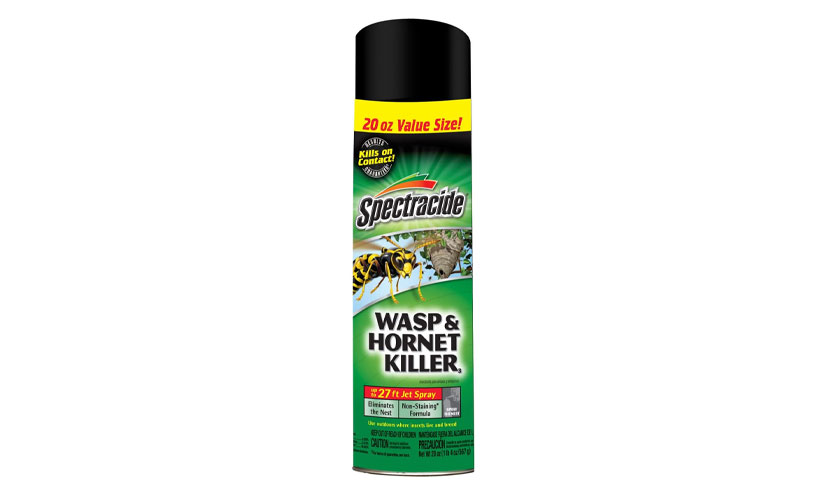 Save 71% on a Spectracide Wasp and Hornet Spray! – Get It Free