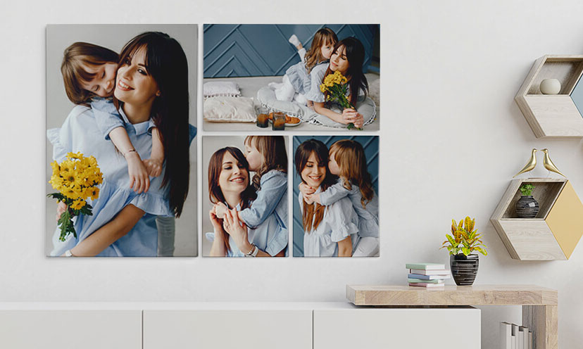 canvas champ location